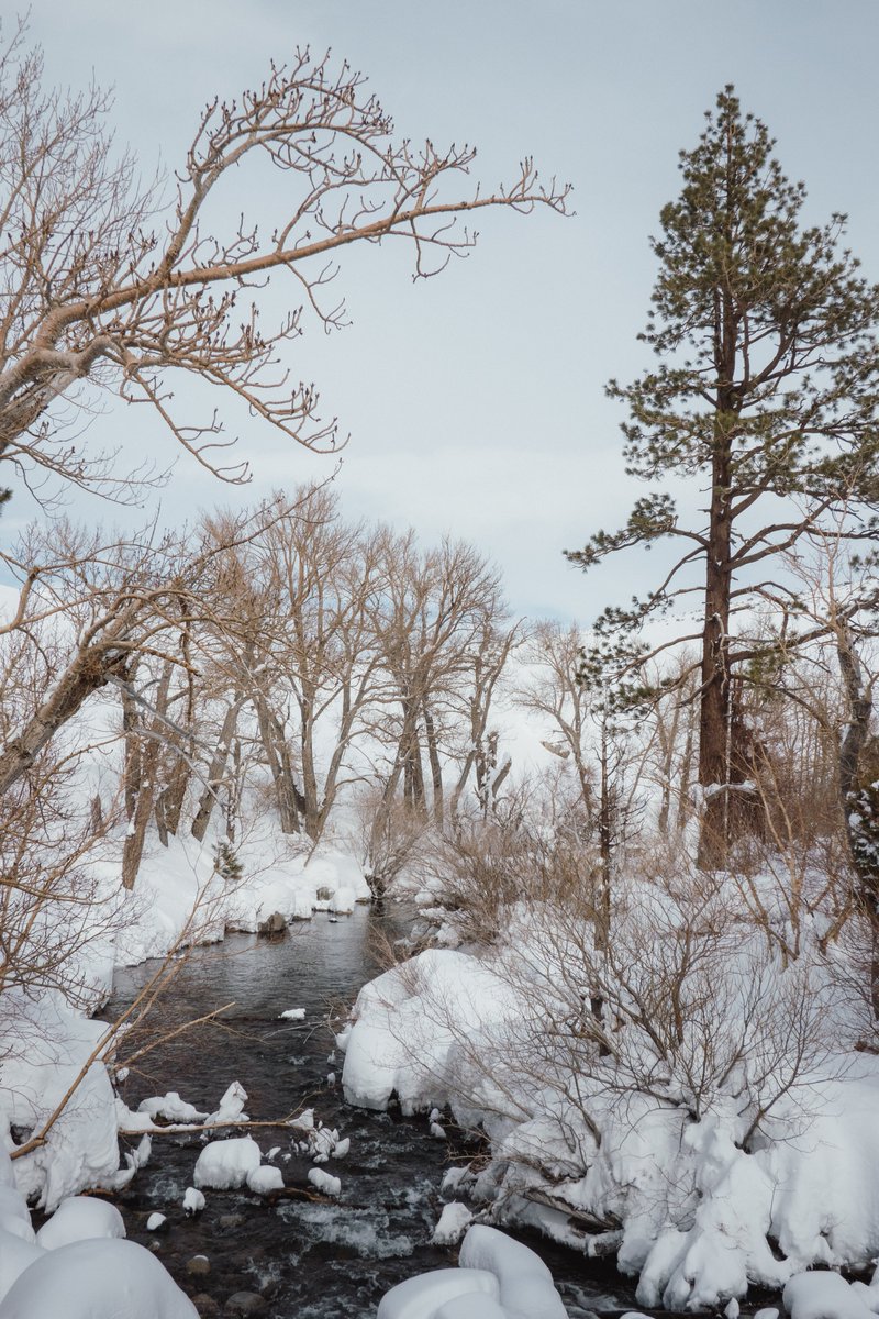 Mammoth, on my birthday. BEFORE the massive storm hit. I can’t imagine how much more snow there is than what I saw in these photos #sonyrx100vii