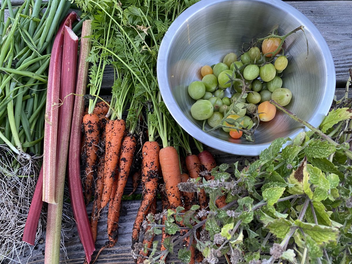 Mike Lee tweet media