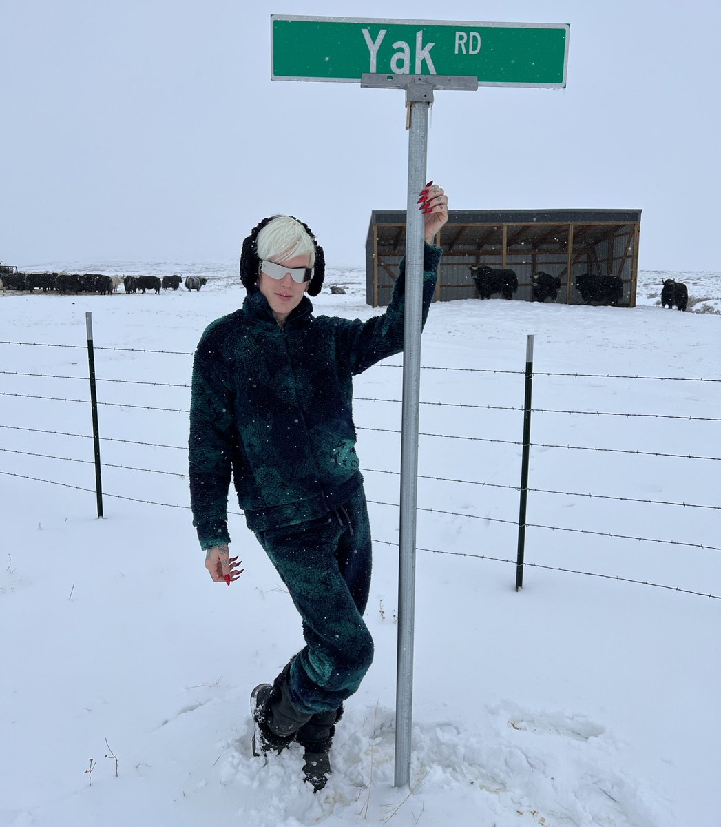 I officially named my new private road YAK. RD on my ranch ☃️ google maps certified ✅ #StarYakRanch