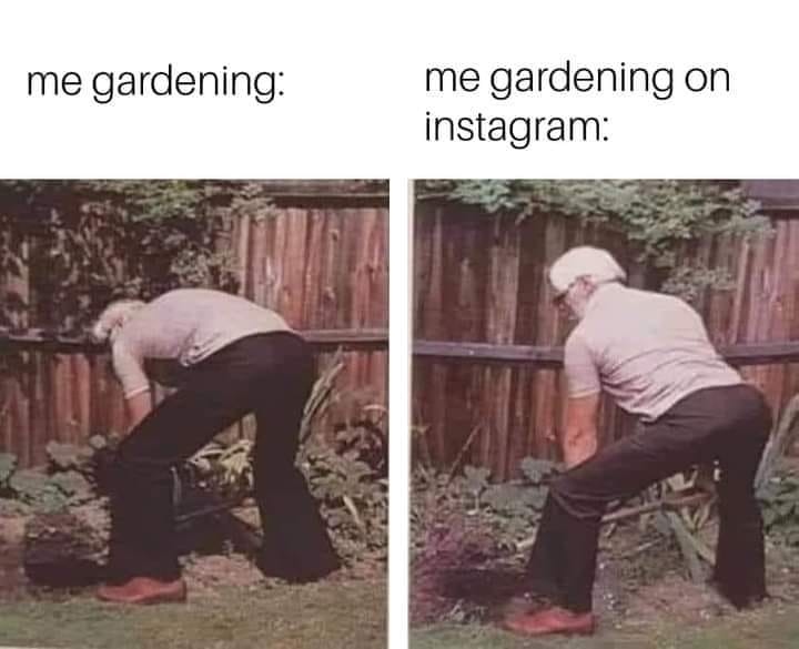 Fitleaf1's tweet photo. If you're going to garden, garden with style 🤣 #gardeningmemes #gardening #funnymeme https://t.co/F57MGwbrr5