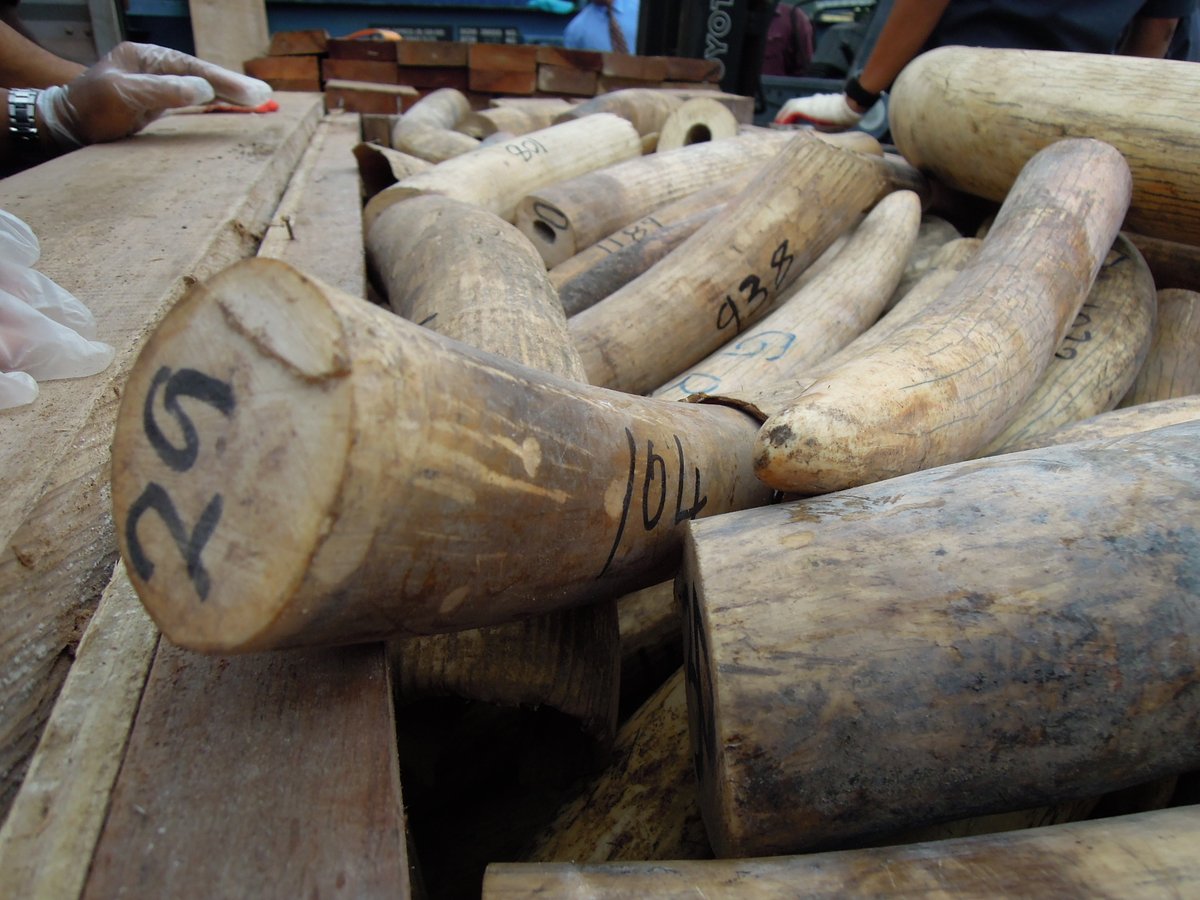 UNDP Planet tweet media