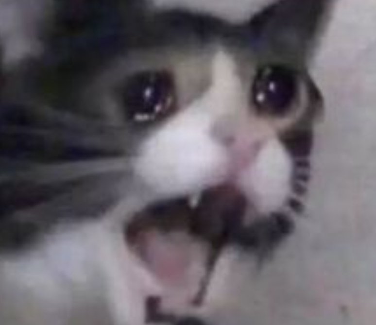 doboruuu's tweet photo. I just want to watch my gays pls why is there no update https://t.co/AZ8Ee2Lk5p