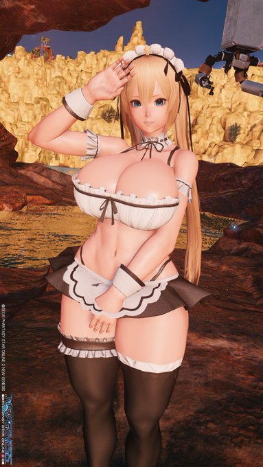 ちょっと顔もだけどボディも変えたいから少しNGSいじる 