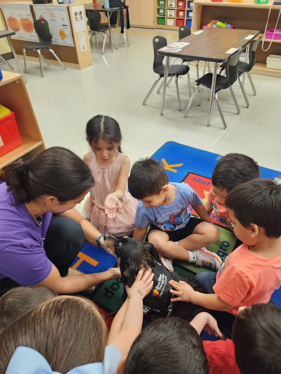 Uphaus ECC tweet media