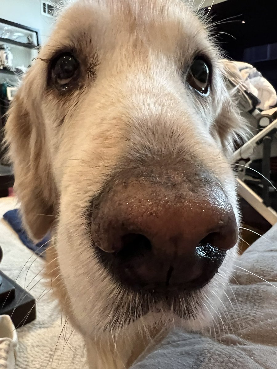 Kristen Soltis Anderson tweet media