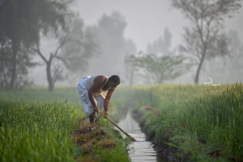 साथियों आज ताकत दिखाओ ।

ये वर्तमान व भविष्य की नश्लो के हक की लड़ाई है 

Hastag 👇🏾
#OBC_आरक्षण_बढ़ाओ_जाट_महाकुंभ_चलो 
#OBC_आरक्षण_बढ़ाओ_जाट_महाकुंभ_चलो