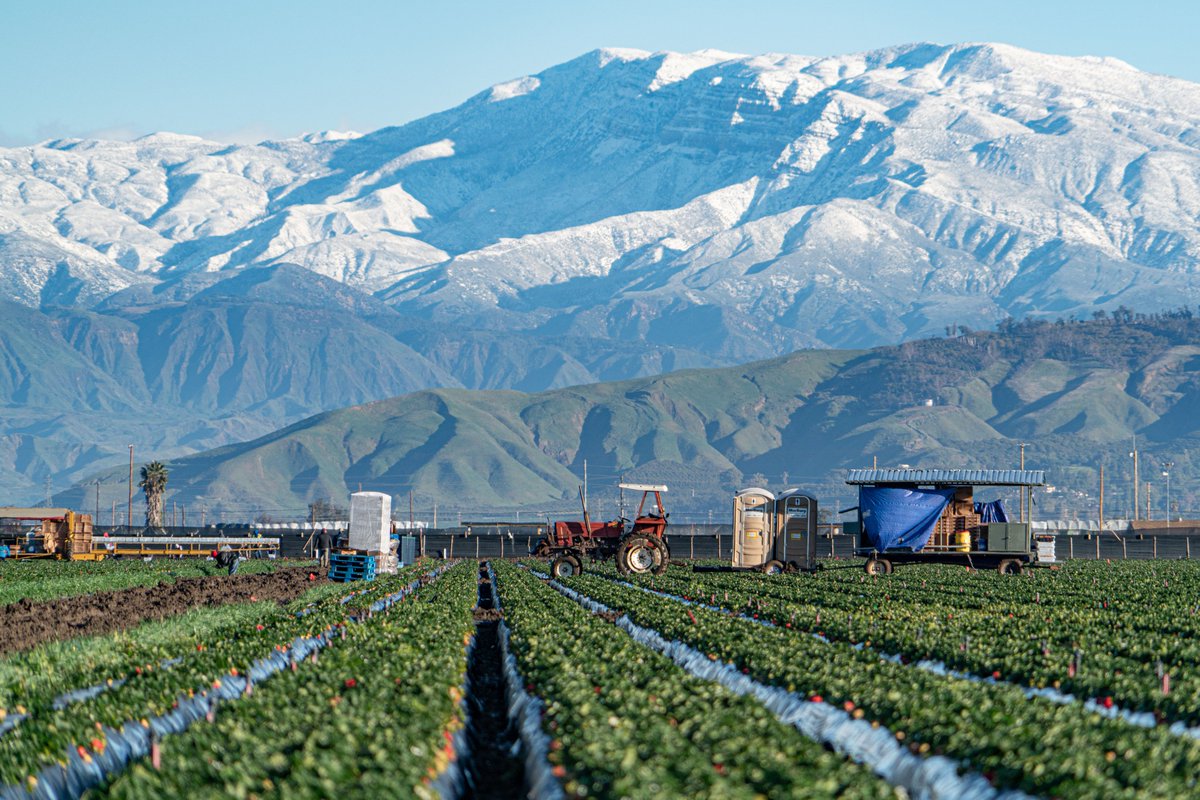 VisitOxnardCA's tweet photo. In awe 😍  over the beautiful backdrop of the snowy Topa Topa Mountains 🏔️  

📍: Oxnard, CA
📷: @holdenonmedia

There's snow ❄️ place like home 😆 --> https://t.co/bKVik3oNw7

#VisitOxnard #VisitCa https://t.co/duIbbELRZs