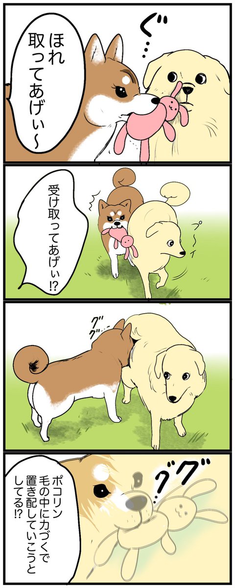 フレンドリーな わん友 ぽこりん🐕

https://t.co/VwP7FbLq9s 