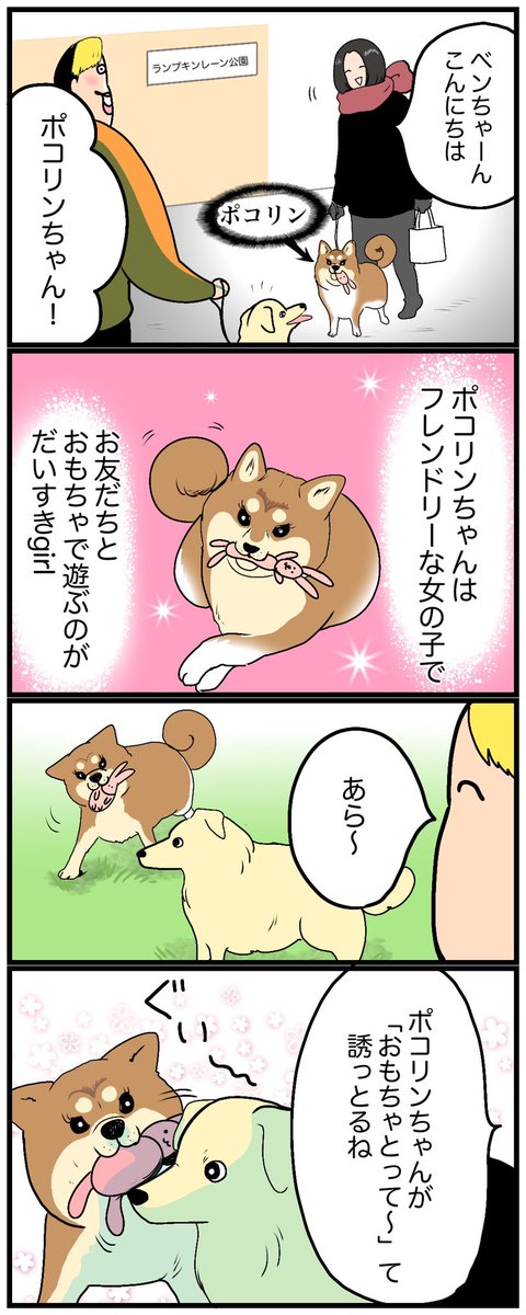 フレンドリーな わん友 ぽこりん🐕

https://t.co/VwP7FbLq9s 