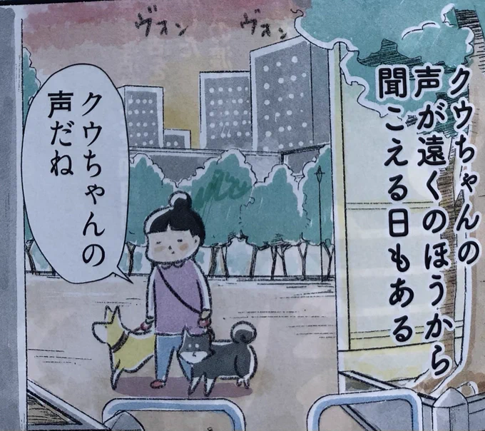 今週のspa!『犬々ワンダーランド』は超大型犬のお話です〜
よろしくお願いします! 