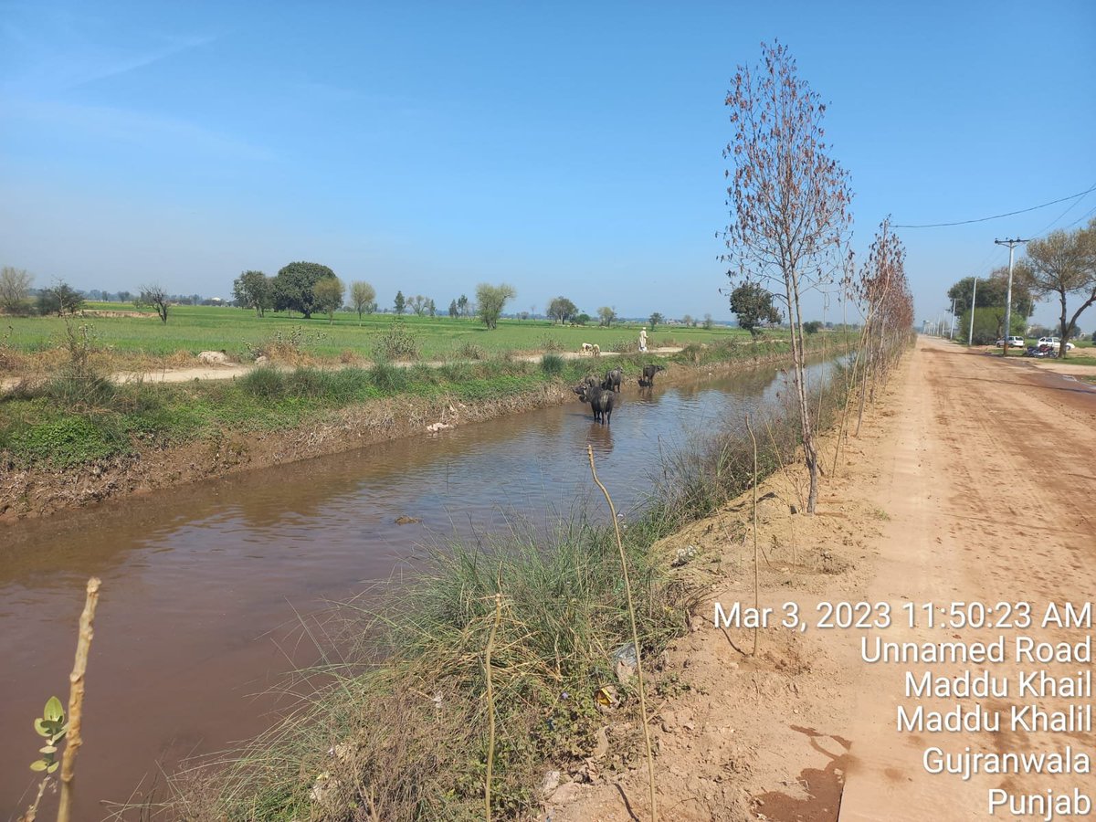 DCGRW's tweet image. Plantation drive at  #LandfillSite Bakhray Wali by Gujranwala @waste_company.

#SpringPlantation
#Gujranwala
#ClimateActionNow 

@CS_Punjab 
@lgcddpunjab 
@CommissionerGu3
