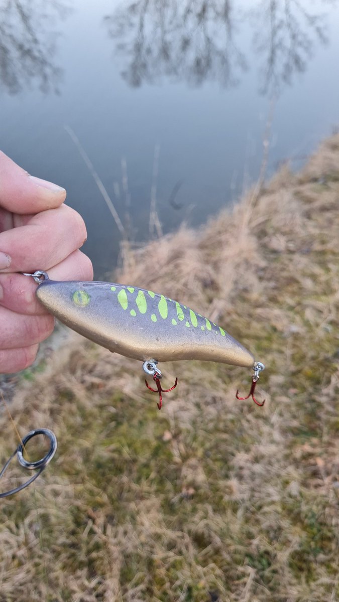 First pike in 2023 on this lure. I was just testing the aktion.#lure #lurefishing #bassfishing #bassfishingismylife #fishnet #krankbait #barschangeln #pikefishing #pikelife #baarsvissen #snoekvissen #snoekbaarsvissen #hechtangeln #hechtundbarsch #muskyfishing #musky