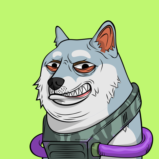 moabrudeboy's tweet photo. @MaddKingMaddox @NFArcade @DrJPEG_ We have been around @TheDogePoundNFT and beyond together, 4 a long time now . #NFTCommuinity is strong with us, one more match up #Dooge #puppy #love #PartyPoopers NOT ALLOWED https://t.co/8YTpGdXqee
