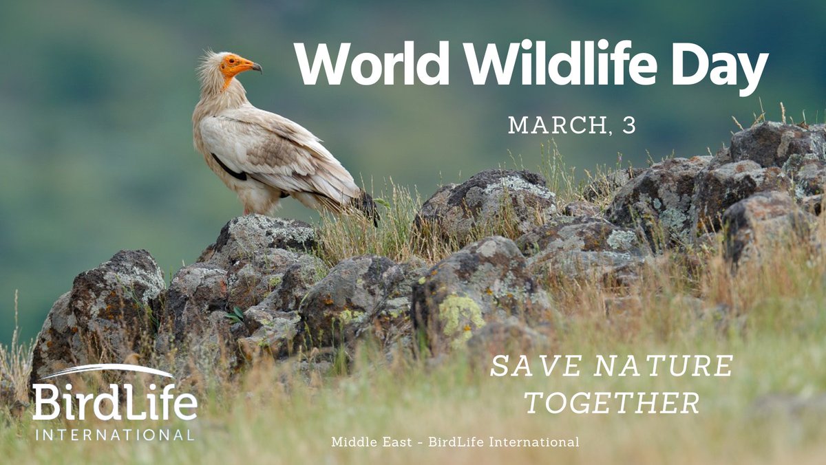 A #WorldWithoutNature is incomplete – just like our logo is today.