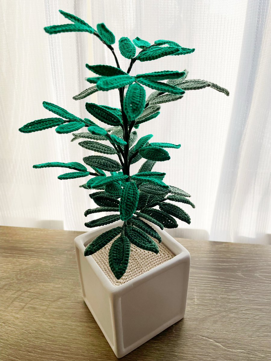 観葉植物🌿
ベンジャミングリーン🌿

確定申告をしながら
ちまちま編んでいたのがやっと出来ました♪
後はカラーストーンを並べて完成です😆

久々の編み物です🧶

#minneで販売予定
#ハンドメイド
#編み物
#観葉植物