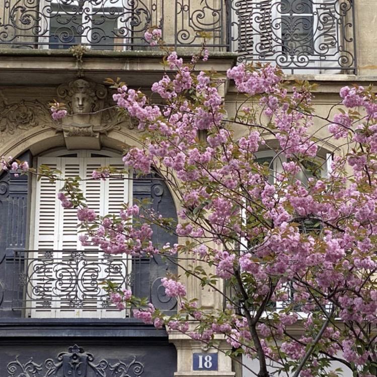 lvnareclps's tweet image. friday