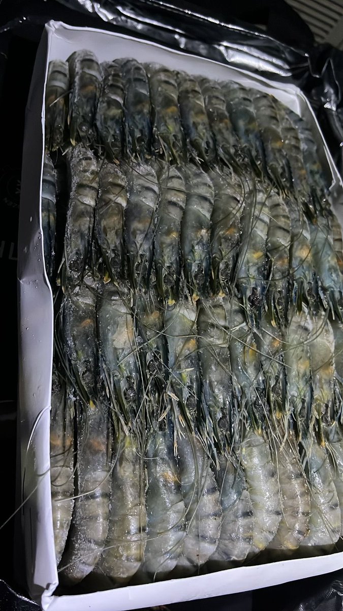 MariscosDa's tweet photo. Bom dia meus marisqueiros, espero que estejam bem. Temos mais uma novidade para vocês. Promoção de camarão S. Por apenas 1800mts. Não demorem. 844135830 podem entrar em contacto https://t.co/3x8bH7lgVg