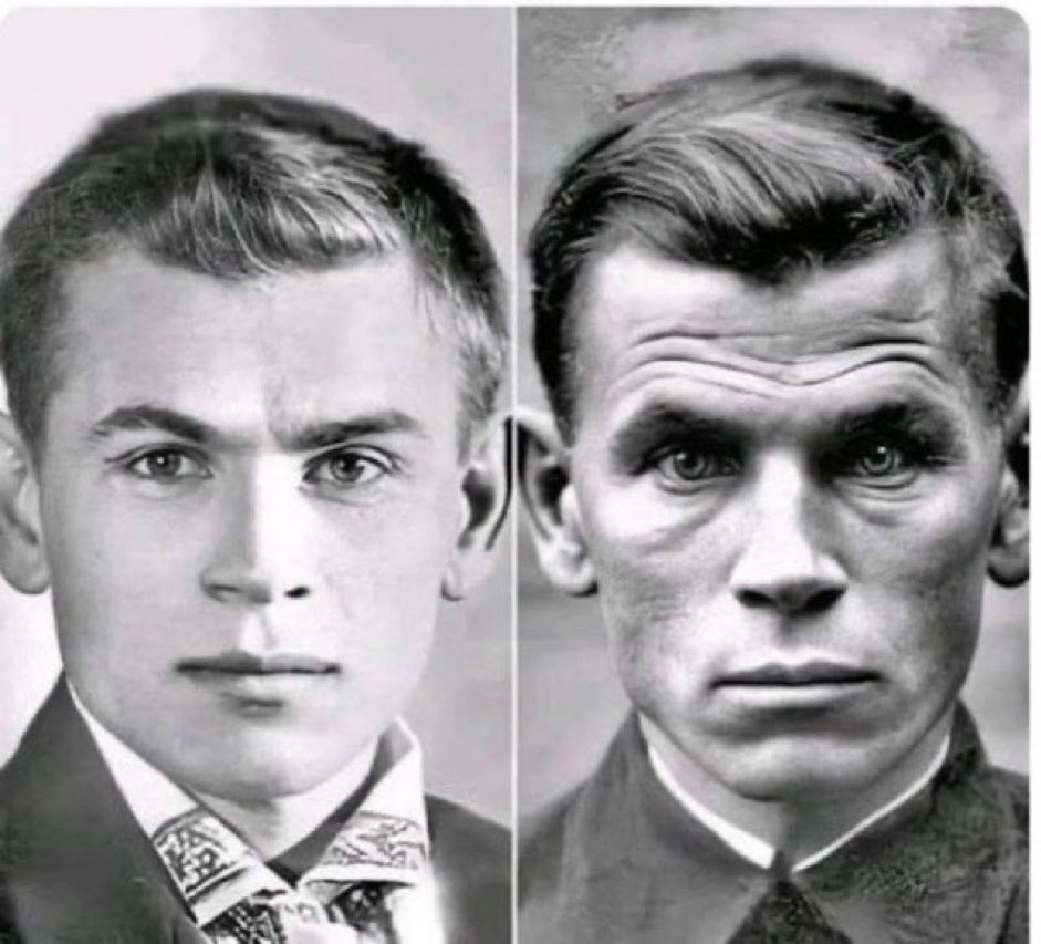 𝓌𝒾𝓁𝓈𝒽𝒾𝓇𝑒 𝒷𝑜𝓊𝓁𝑒𝓋𝒶𝓇𝒹 🥀 on Twitter "me experiencing chemtrails and blue