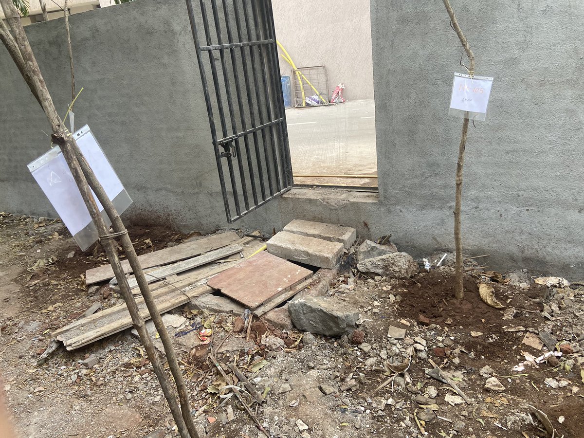 narendratari's tweet photo. Additionally, this area has chamber which was not closed properly which resulted water logging in rainy season &amp; coconut plant is very closed to main gutter line hence request to plant it somewhere else &amp; close chembur properly &amp; open this area from road side if it’s BMC. https://t.co/E7UWCWmyx6