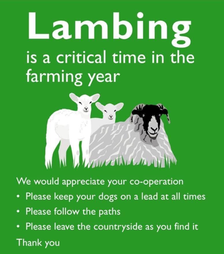 Robert Smith (@roblivestream) on Twitter photo 