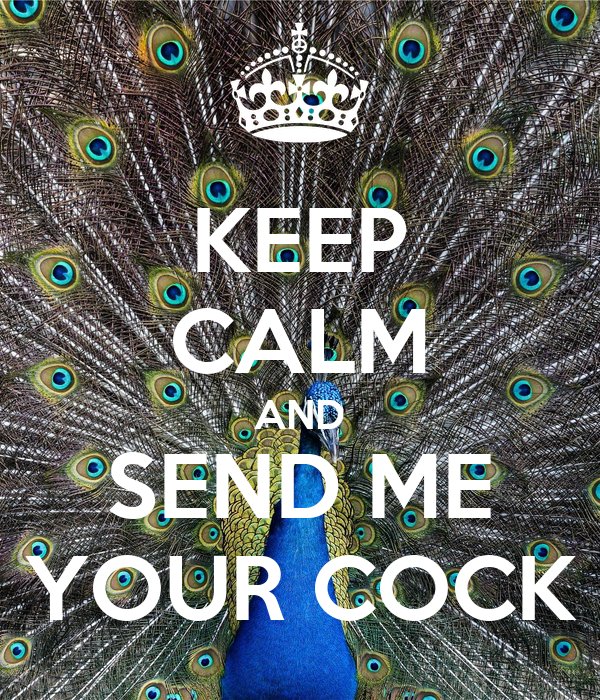 Its the weekend... So lets get them HARD Cocks out... 

Big or small , they are all perfect 😉

#cock #dick #penis #morningwood