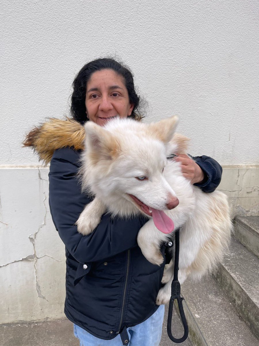 Gare d’Achères Grand Cormier : chien récupéré ce matin sur les voies, une cliente encore très satisfaite. Bravo aux équipes 🤝🏻
<a href="/Jemmel_Ma/">Jemmel Mahi</a> <a href="/NPRIGENT_SNCF/">Nolwenn Prigent</a> <a href="/assetouaparicio/">Assetou APARICIO</a> <a href="/LoicDoucen/">Loic Le doucen</a> <a href="/JessieSncf/">Jessie</a> <a href="/GrisoglioA/">Grisoglio Agnès</a> <a href="/FouedKaouachi/">KAOUACHI Foued</a> <a href="/Sylvain_Jonnet/">Sylvain Jonnet</a>  <a href="/delphine_ledoux/">Delphine Ledoux</a> <a href="/pmouly/">p. mouly</a> @LyesLaDef_