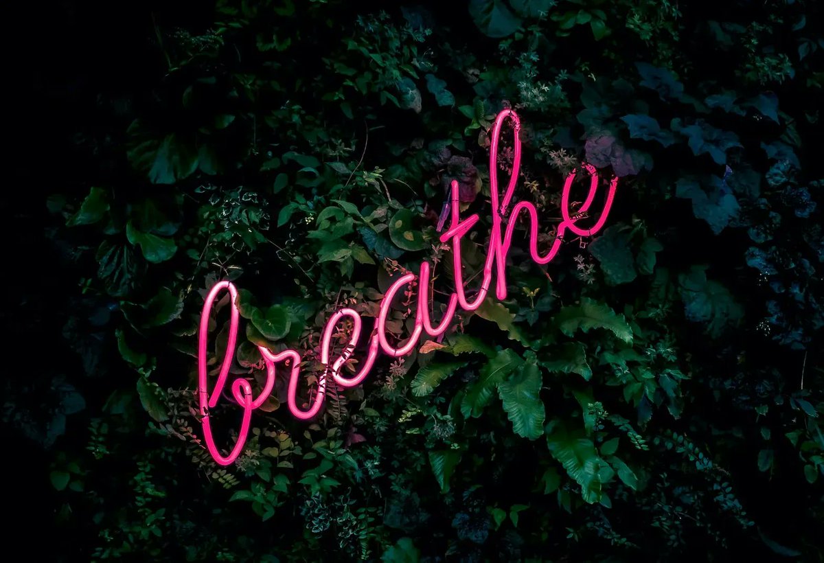 lcartigny's tweet image. And relax! It&apos;s Friday!

Breathe Out 1. . . . 2 . . . . 3 . . . . 4  &amp;amp; Breathe Out 1. . . . 2 . . . . 3 . . . . 4 

Repeat x5 

How do you feel now?

#changingwork #mindfulness #wellbeingatwork #stressmanagement