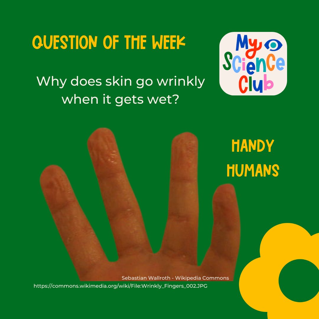 MyScienceClub tweet media