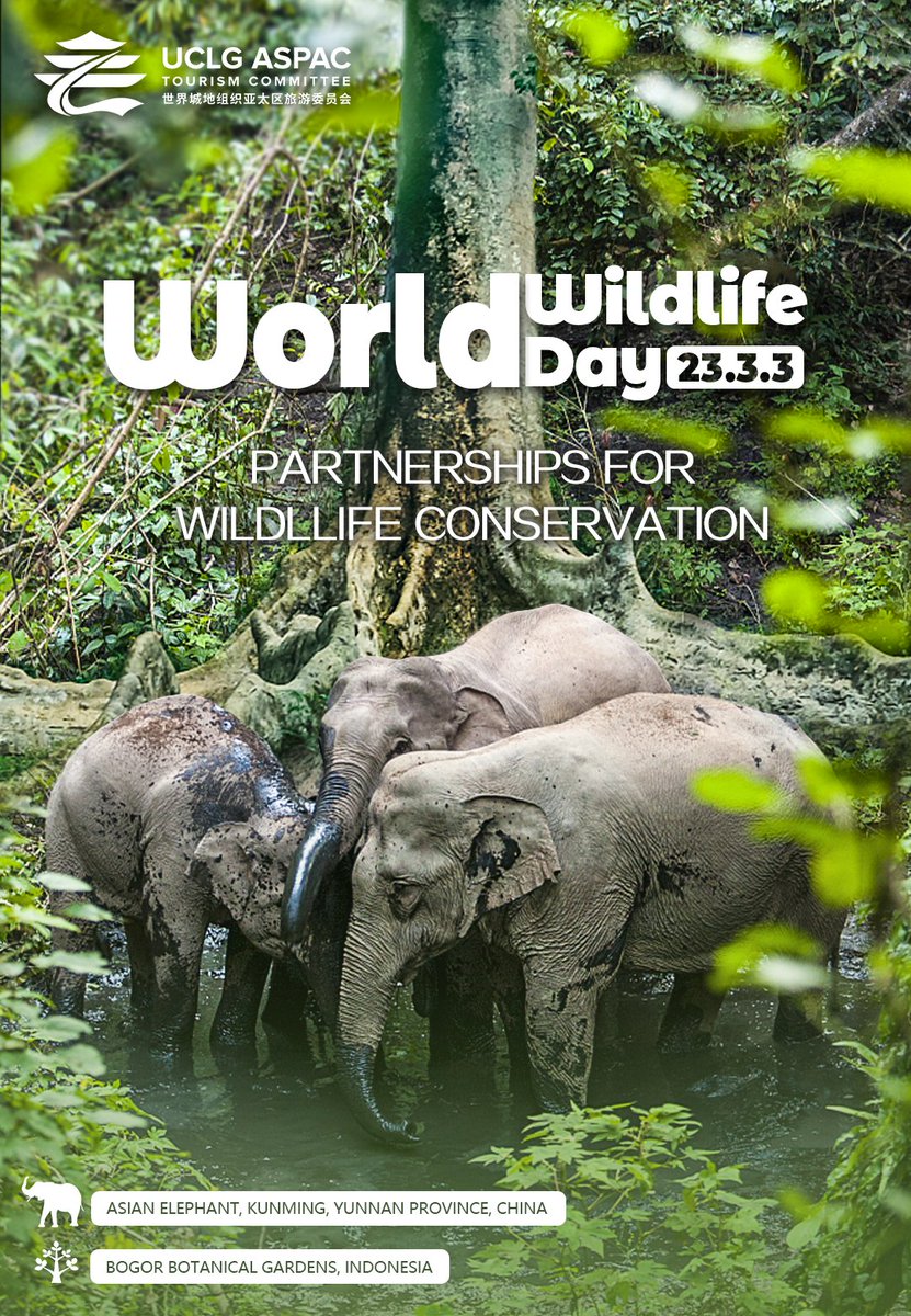 Today we are celebrating #WorldWildlifeDay2023 under the theme #PartnershipsforConservation. In our member cities Bogor and Kunming, parks and reserves have been established to protect various forms of wild fauna and flora. Let's work together for the life on earth!