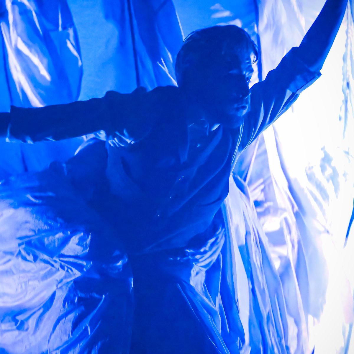 Caligula and the Sea tweet media