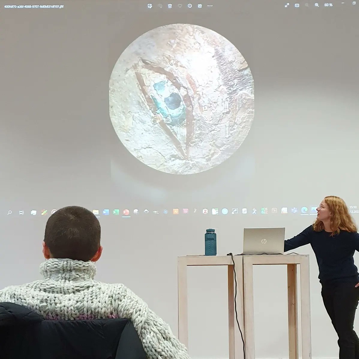 YoungConservators tweet media