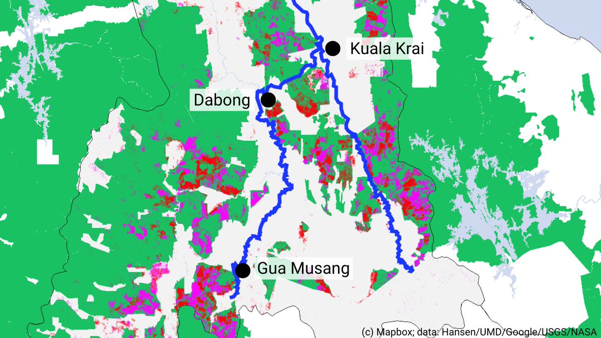 macarangatweets's tweet photo. Without good &amp; accessible forest data, researchers can't build reliable flood mitigation plans. Before &amp; after the 2014 'bah kuning' #flood that ravaged #Kelantan, a lot of forests upstream were cleared (red-pink). But official data shows little change in forest reserves (green). https://t.co/eLwO3sbe4H