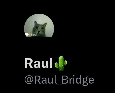 MSpaintskull's tweet photo. In case you guys don't know this goofy little fella is also me, if I ever dissappear I am probably using my Brazilian account https://t.co/HpiYfN9vDS