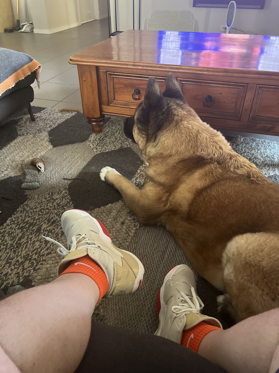 coachbear's tweet photo. Chilling with #ralphakita... Watching #LACvGSW... #Zion2 https://t.co/xkY8WtbJji