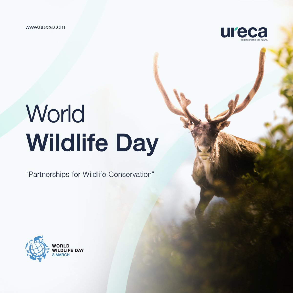 urecaofficial's tweet photo. Happy World Wildlife Day from URECA! 🦌
Today, we celebrate the remarkable #biodiversity of species that coexist with us and reaffirm our pledge to safeguard and conserve their habitats.
#WorldWildlifeDay #WWD2023 #URECA https://t.co/8IniUDayzm