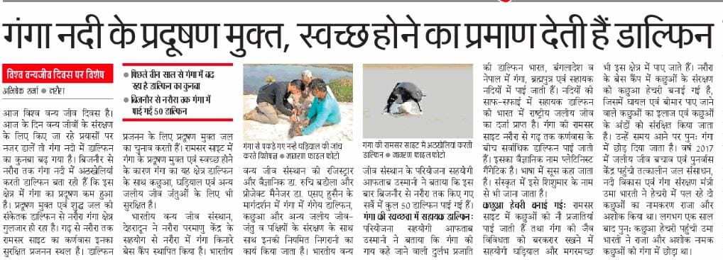 cleanganganmcg's tweet photo. गंगा में कभी विलुप्त हो रही डॉल्फिन की बढ़ती संख्या, माँ गंगा के प्रदूषण मुक्त एवं स्वच्छ होने का प्राकृतिक प्रमाण है क्योंकि डॉल्फिन प्रजनन के लिए प्रदूषण मुक्त जल का ही चुनाव करती हैं।

बिजनौर से नरौरा तक देख सकते हैं डॉल्फिन की अठखेलियां।
#Dolphin #Ganga 
#WorldWildlifeDay https://t.co/LAdNANcivC