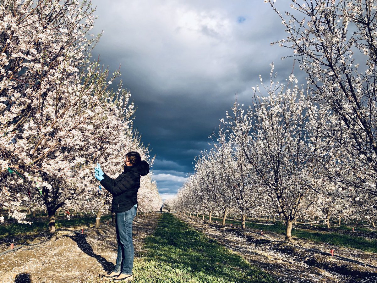 Florent Trouillas tweet media