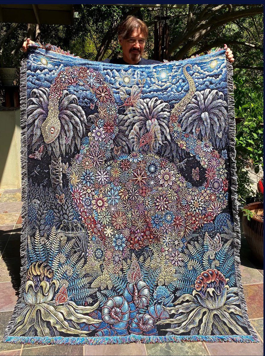 These 'FLOWER DINOSAUR*'  blankets are now available through @visionaryartblankets for $149 at is.gd/uRaGhS. They have some great ones. Many different artists. Check it out. 🤩