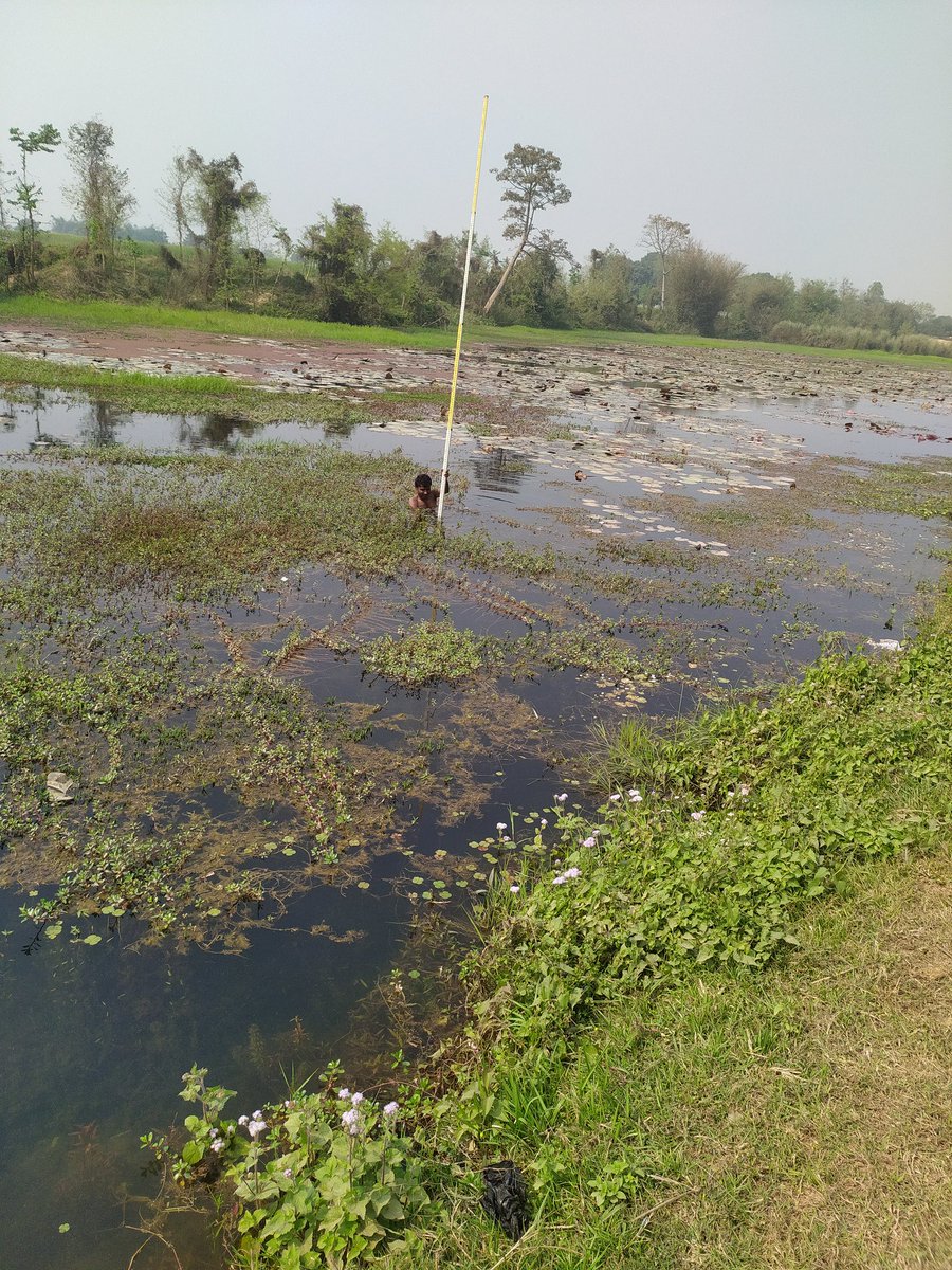 CementConc's tweet image. Survey work in  river for #construction of new #Headworks @CementConc  with our team leader @jaykumarshahEr