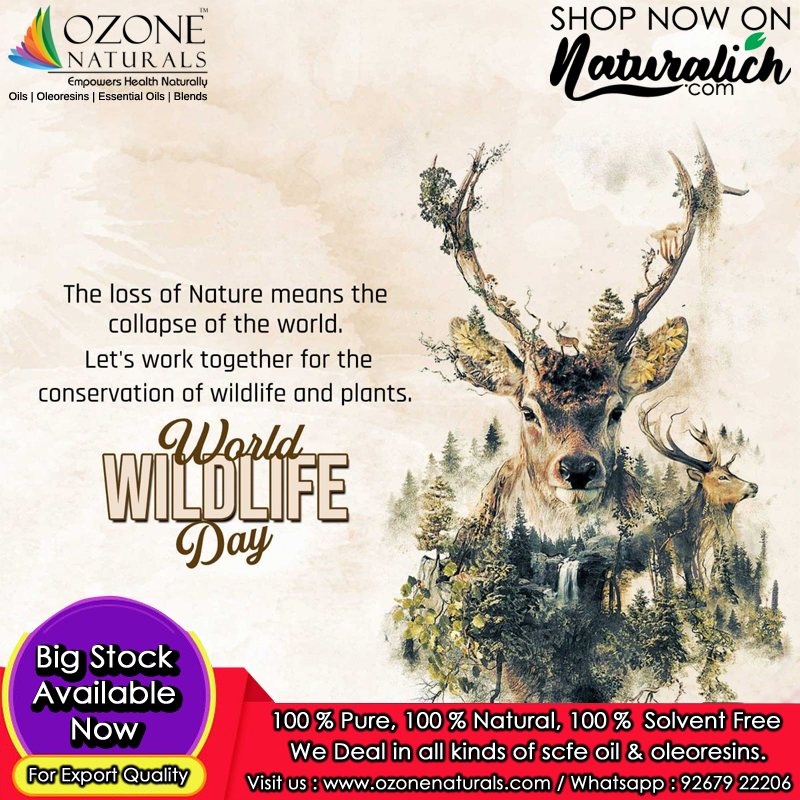 OzoneNaturalCO2's tweet photo. #March 3 is #World #Wildlife Day. It is a #United #Nations International day to celebrate all the world's #wild #animals and plants and the contribution that they make to our lives and the health of the planet.

#OzoneNaturals #WorldWildlifeDay #Naturalich https://t.co/9kwUKxUpZ7