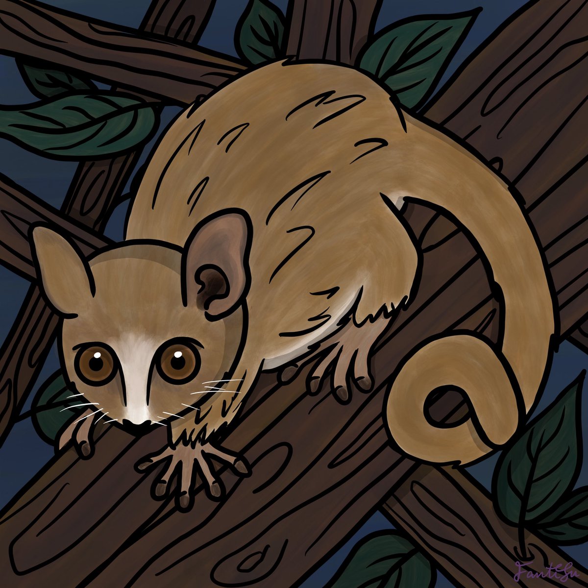 Mouse Lemur joins the FantieSu’s Friends collection!

Will be available at the TSD auction this saturday!

These critters come with:
+ whitelists &amp; airdrops
+ access to the Fish Store with 25% discount
+ extra giveaway entries in the discord
discord.gg/KXGZtF6UEh

$FTM #NFT