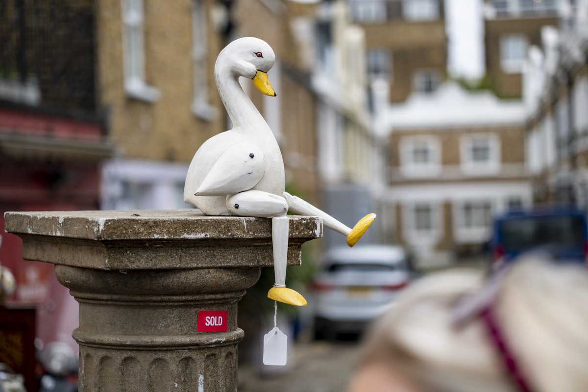 HalGregersen's tweet image. &quot;The world is full of magical things patiently waiting for our wits to grow sharper.&quot; Bertrand Russell ~ London is full of magical things, including this duck, begging for quiet, sustained curiosity.  #ComposeAndWait #FridayVibes