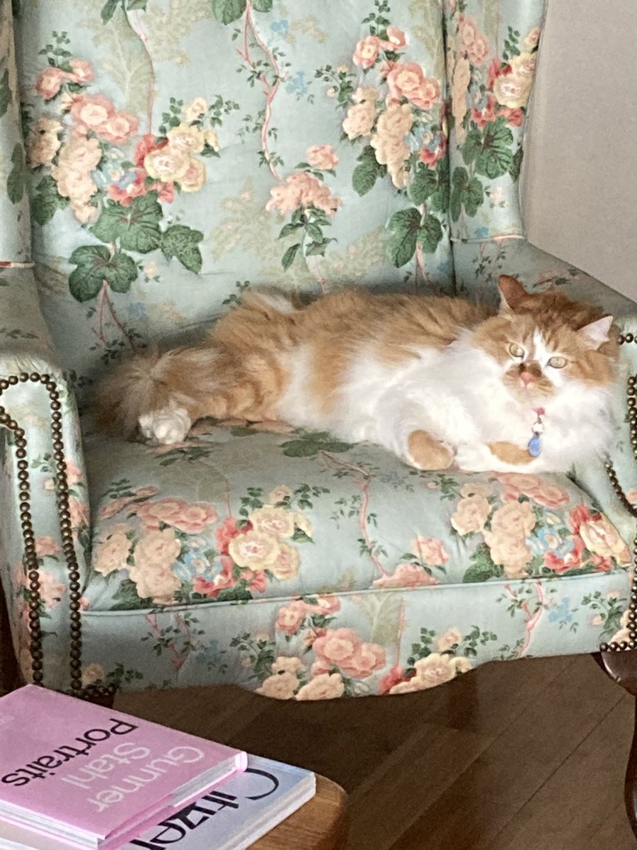 lilisirispira's tweet photo. How do you tell your cat that you’re leaving but you love him and you’ll be back soon? 😭
On my way to @ILPFoundry’s #StateOfTheNet conference! https://t.co/qFgPCNlpjj