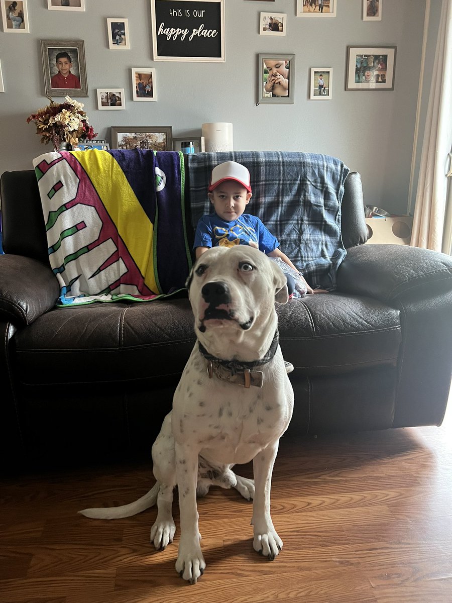 _ahart_'s tweet photo. Owen Reid how are you turning 6 already?!? 🧡🧡🧡 https://t.co/OhS1xwthnY