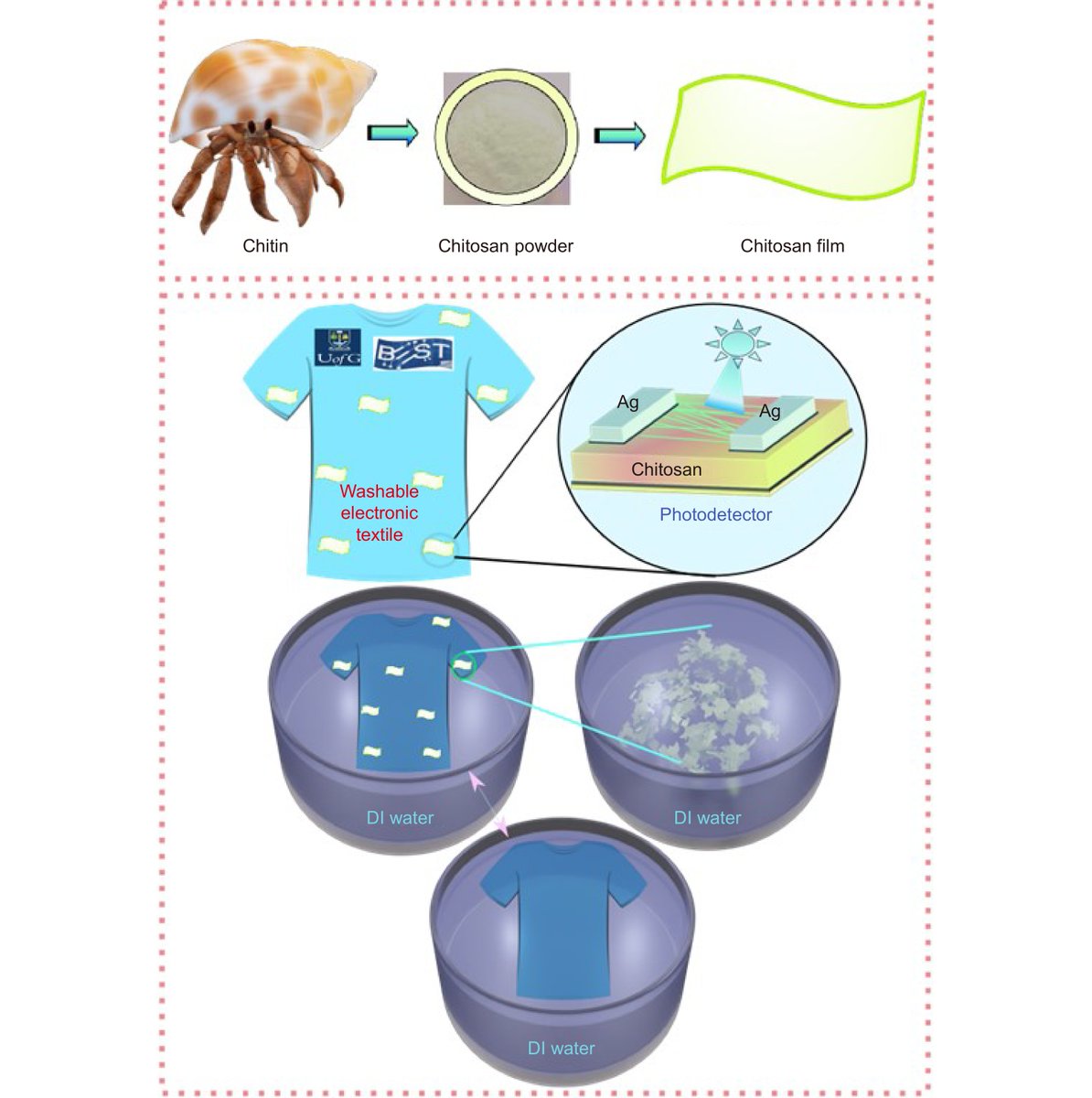 OptoElectronAdv's tweet photo. #OEA_highlight Original Article Open Access
ZnO nanowires based degradable high-performance photodetectors for eco-friendly green electronics: https://t.co/VxzbTEeaIg
@UofGlasgow by Prof. #RavinderDahiya
#TransientElectronics #ZnO #Nanowire #UVPhotodetector https://t.co/tsiQLxpNBM