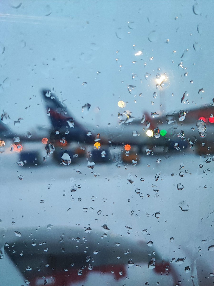 Good snowy morning from Sheremetyevo ✈️