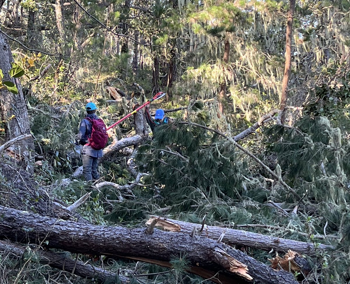 megrua's tweet photo. Well at least it’s not raining or hailing anymore! Day 5 @MicrobiomeTree sampling is in the books #SpringBreak2023 https://t.co/s3yKmva8uX