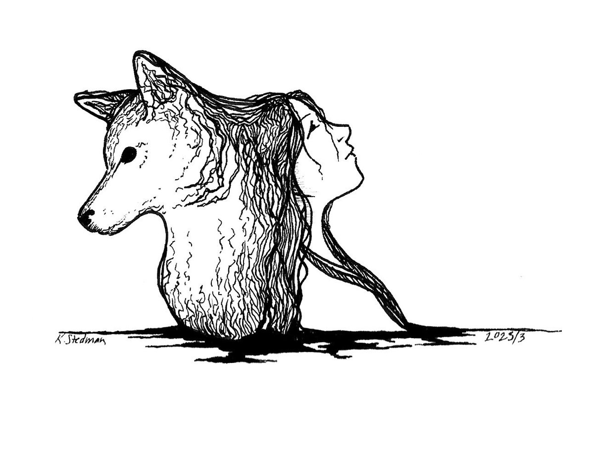 K.S. Illustrations tweet media