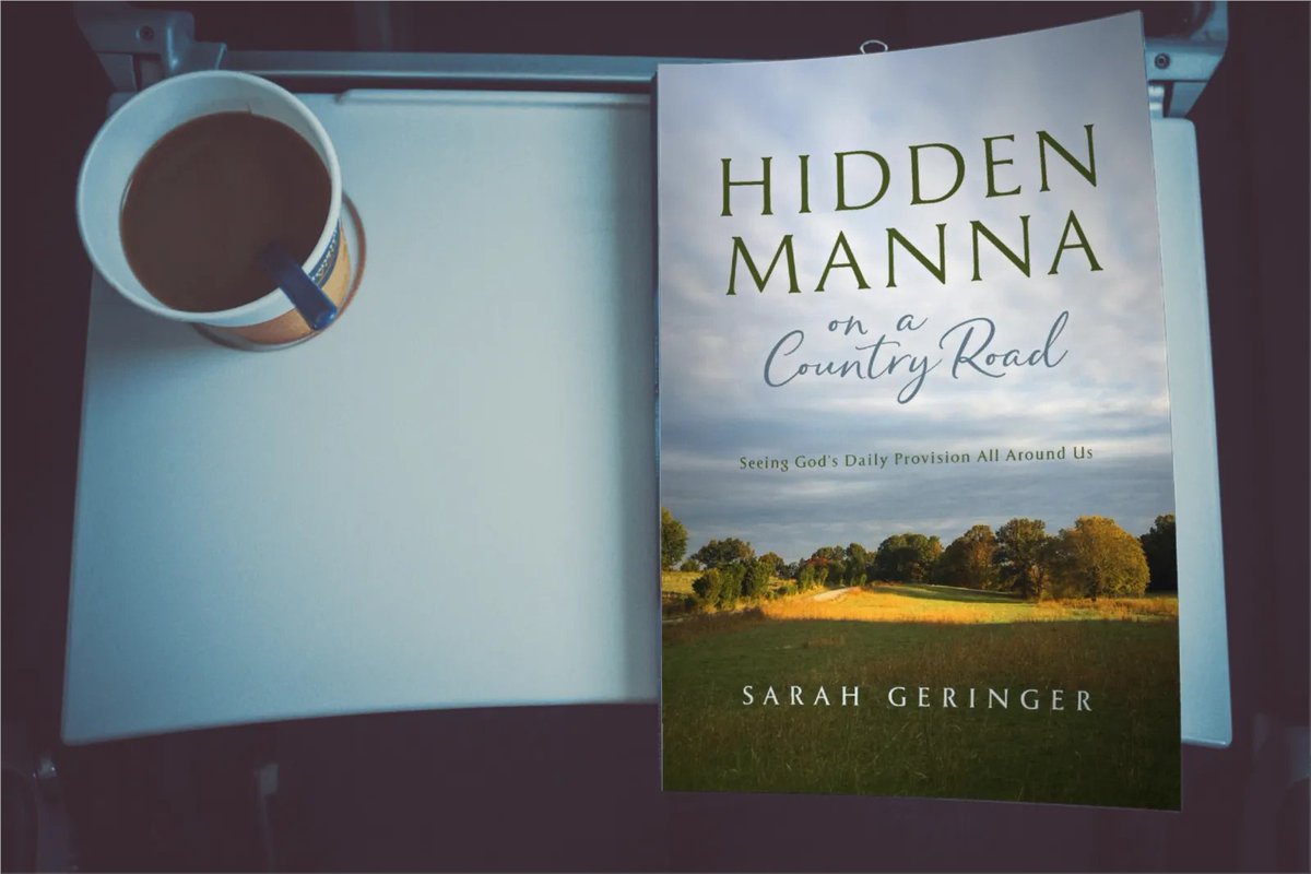 SarahLynneCR's tweet photo. Learn how to see God's gifts in daily life by giving my book a read. Interested? Learn more about it here >> https://t.co/GsRBJujlHx #book #read #hiddenmanna https://t.co/z6d8Tii5J0