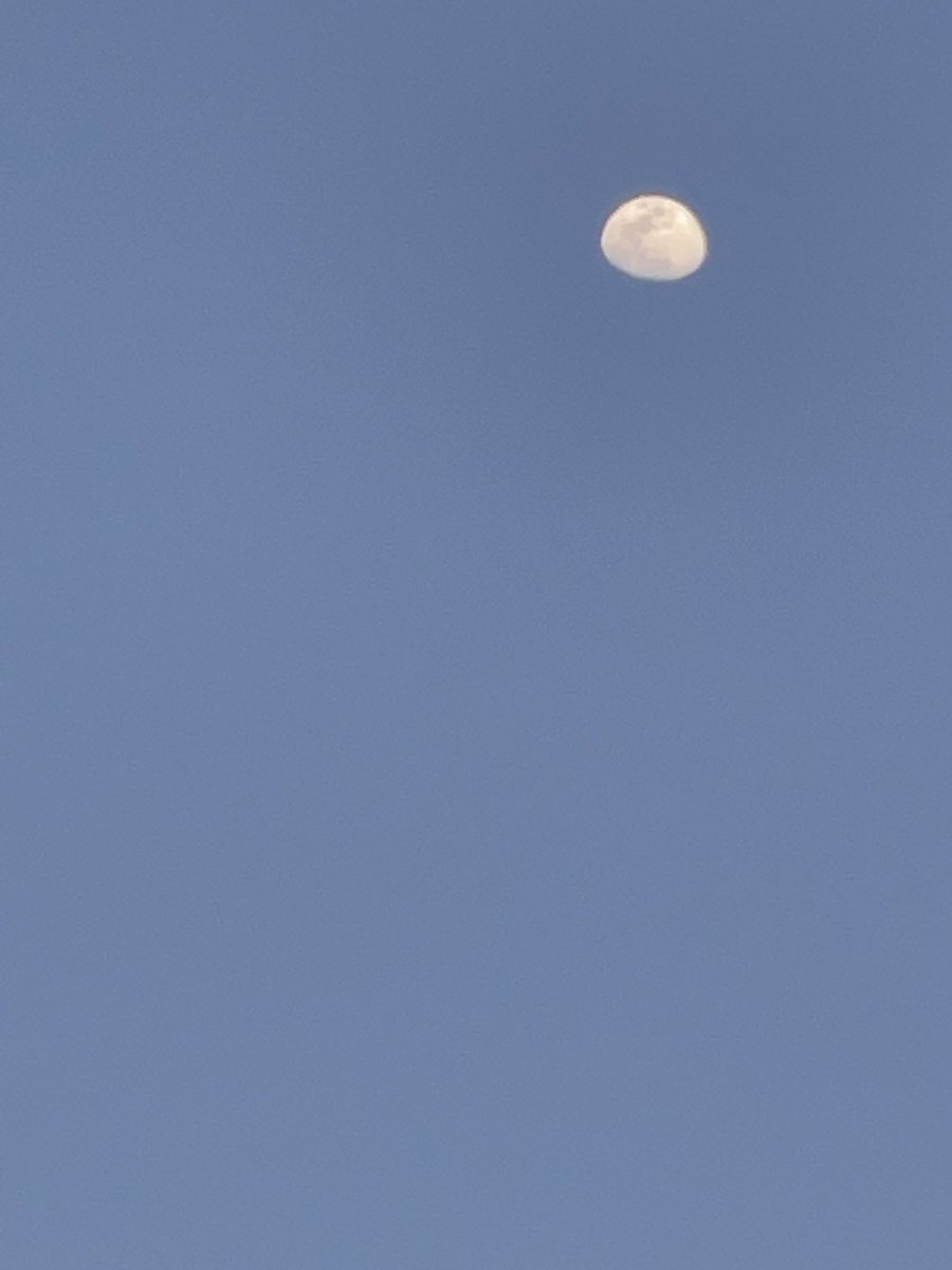 kickack's tweet image. This is nice